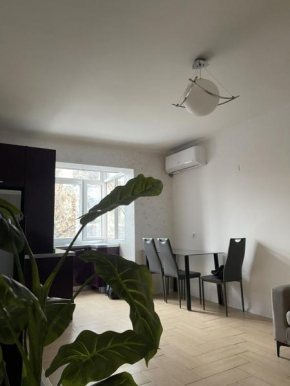 Cozy Apartment at Tirana's Center